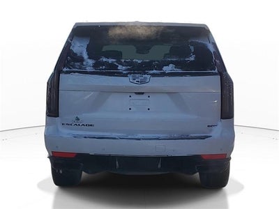 2023 Cadillac Escalade 4WD Sport Platinum