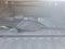 2021 RAM 1500 Big Horn Quad Cab 4x4 6'4" Box