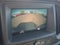 2021 Chevrolet Colorado 4WD Work Truck Custom Special Edition